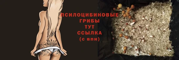 кристаллы Осинники