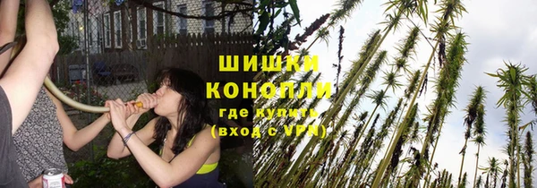 гашиш Новодвинск