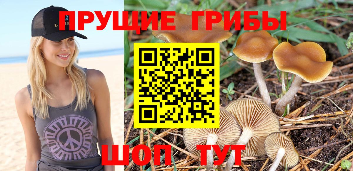 Мефедрон кристаллы  A-PVP СК кристаллы  Вход с VPN  АМФЕТАМИН   Ивантеевка  Конопля 