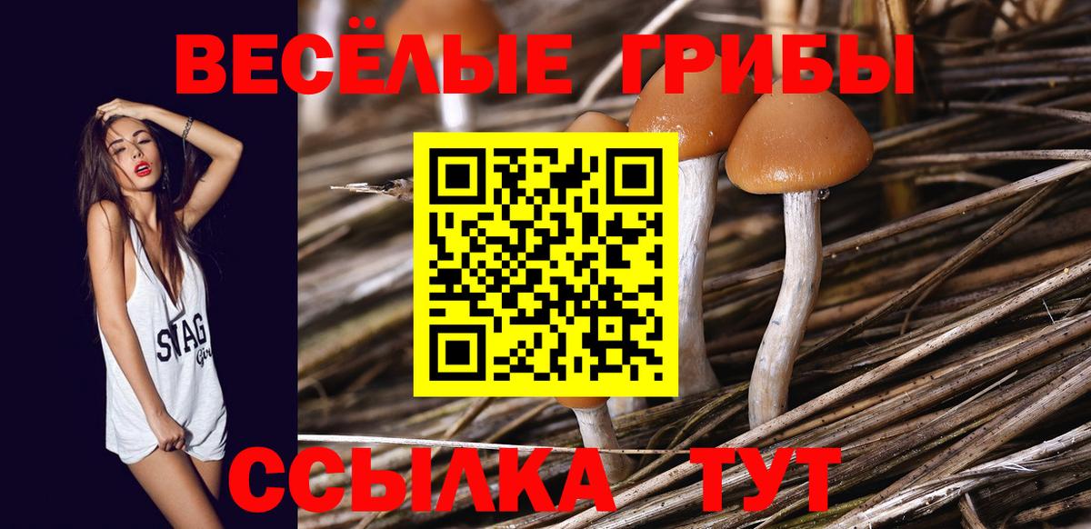 Ивантеевка  Галлюциногенные грибы MAGIC MUSHROOMS  Вход с VPN  Галлюциногенные грибы прущие грибы 
