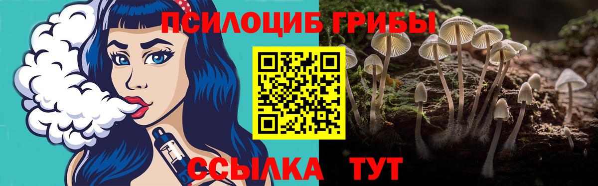 Галлюциногенные грибы Cubensis  Ивантеевка 