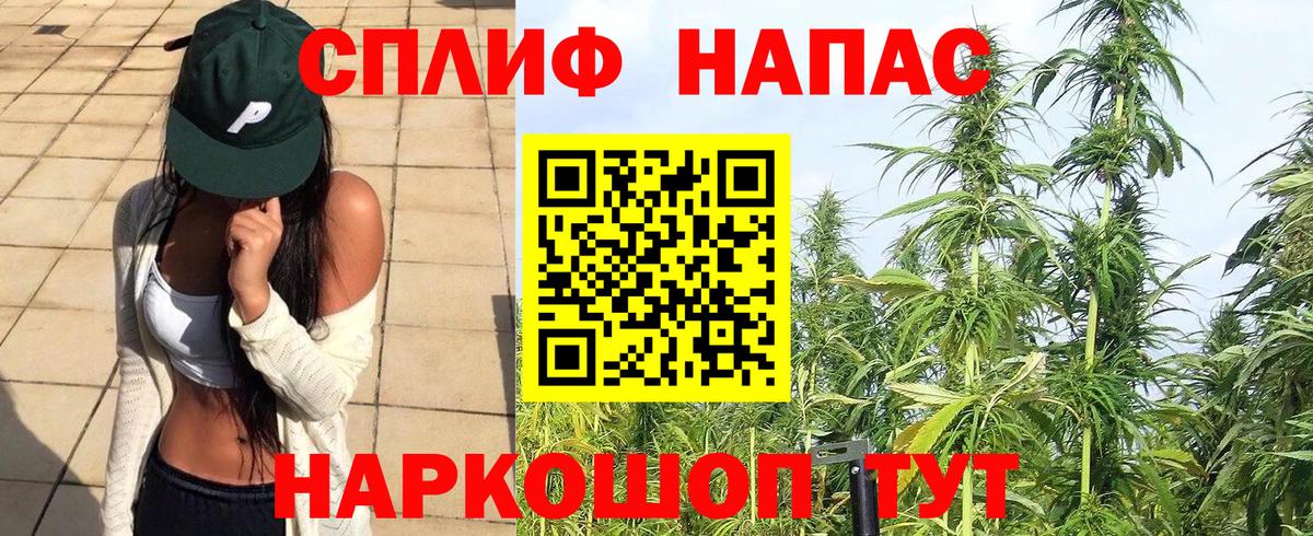 Бошки марихуана план  Марихуана семена  Ивантеевка 